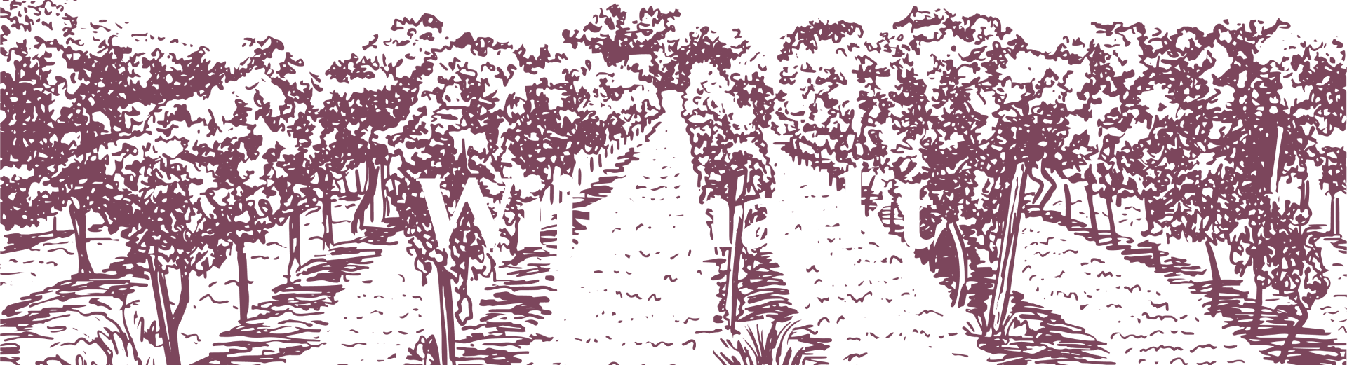 WBB-wijnmarkt-header